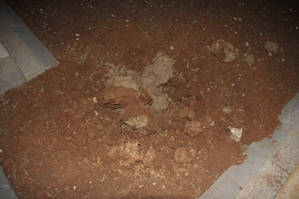 Diyarbakır’da bir garip hırsızlık