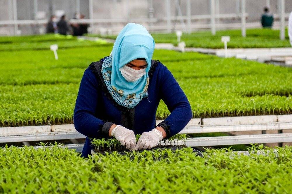 Meram'da üretilen 3 milyon fide toprakla buluştu