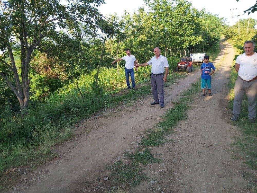 Otomobil fındık tarlasına uçtu