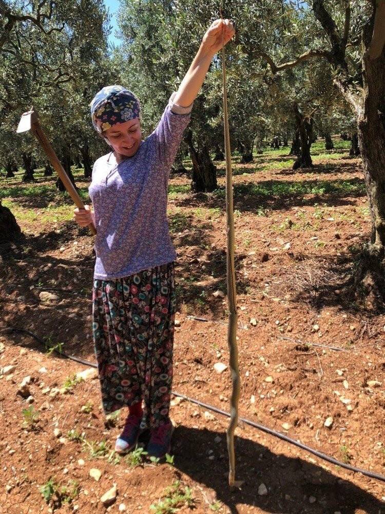Kadın çiftçi boyundan büyük yılan yakaladı