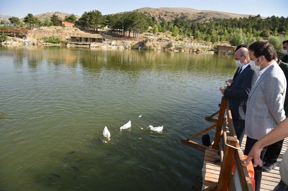 Sille Barajı göçmen kuşlara ev sahipliği yapıyor