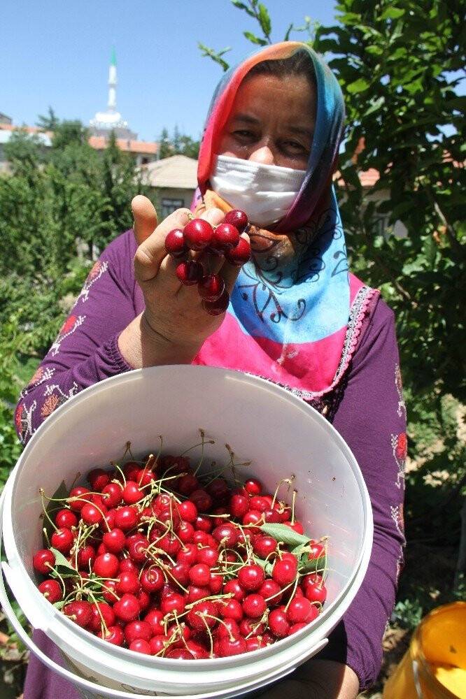 Konya'da  kiraz üreticileri ürünleri için alıcı bekliyor
