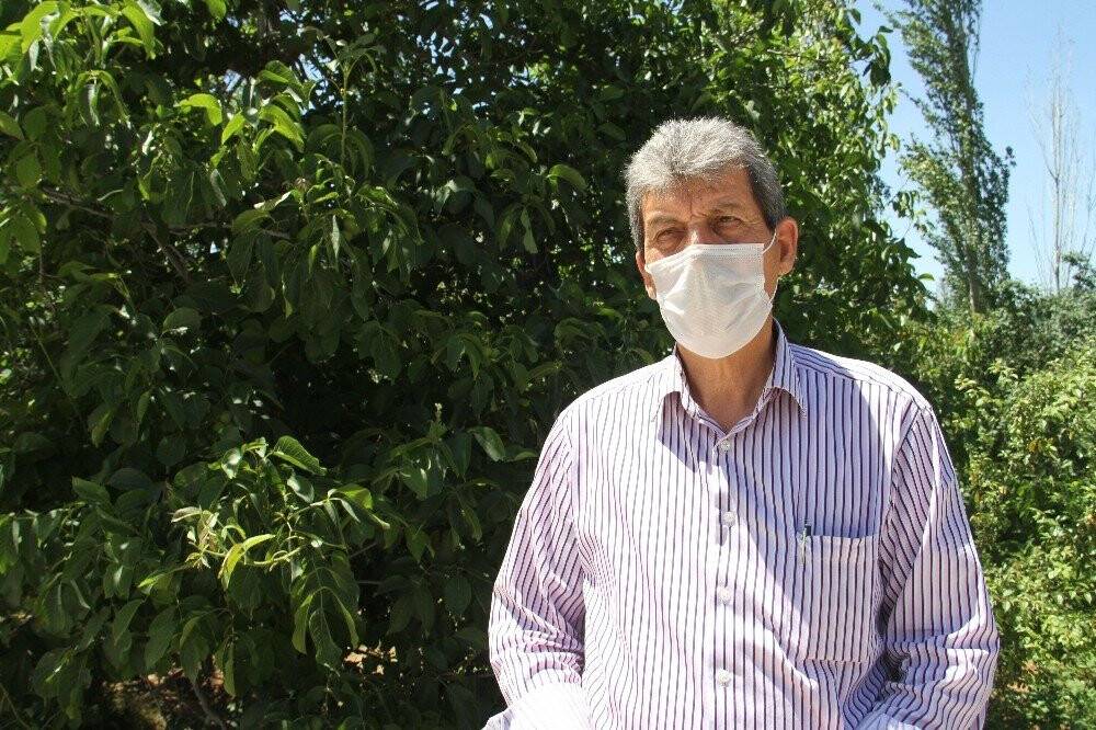Hüyük, ceviz yetiştiriciliğinde iddialı
