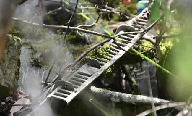 18 yıldır kayıp olan iş adamının yasak aşk kurbanı olduğu ortaya çıktı