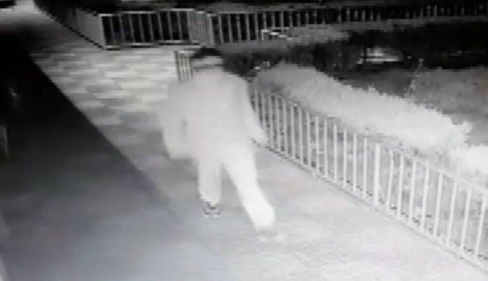 Kamerayı kırdığını zannetti, kendisini kayda aldı