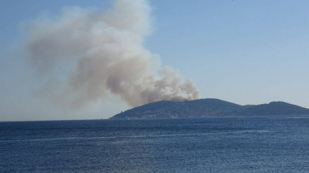 Heybeliada’da orman yangını