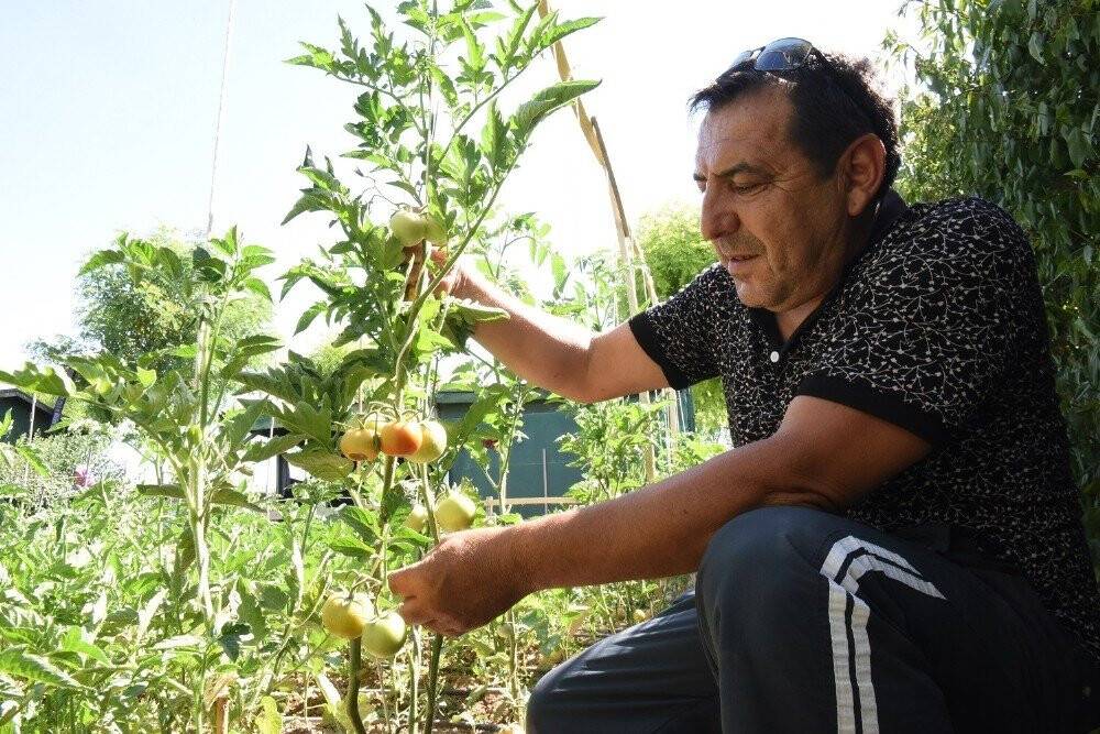Konya'nın ilk bireysel konseptli parkı pandemi sürecinde ilgi odağı oldu