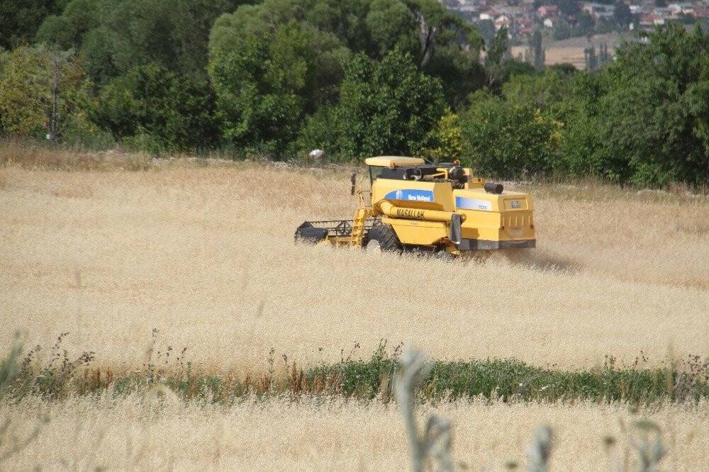 Konya'da hububat tarlalarında hasat devam ediyor