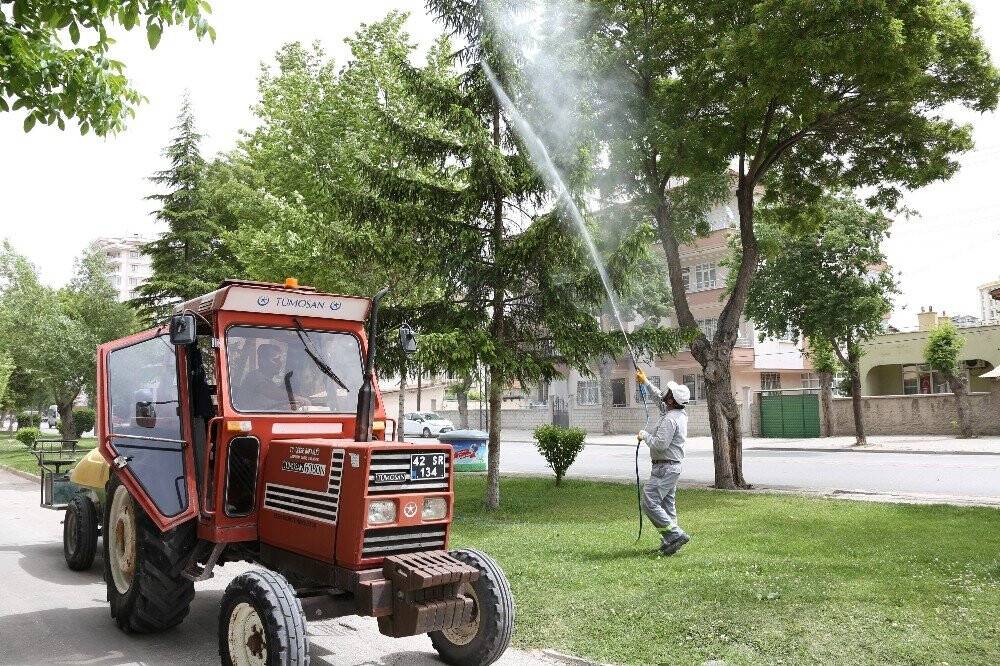 Meram'da ilaçlama çalışmaları devam ediyor
