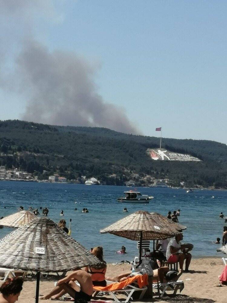 Tarihi Gelibolu Yarımadası yine alevlere teslim oldu