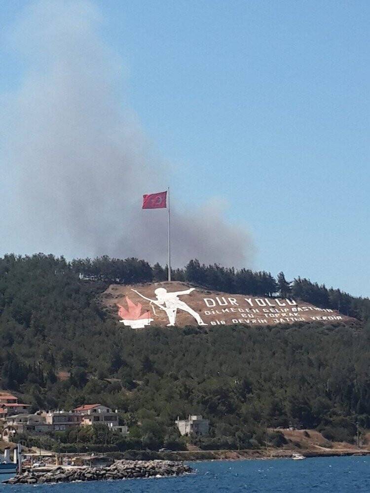 Tarihi Gelibolu Yarımadası yine alevlere teslim oldu