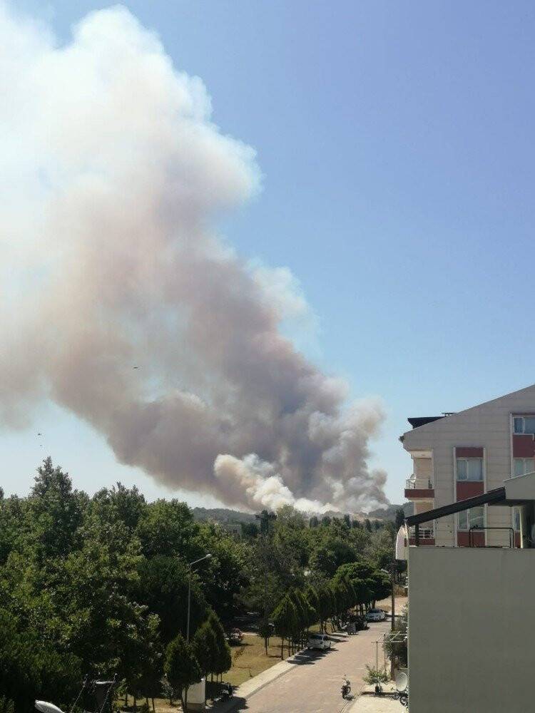Tarihi Gelibolu Yarımadası yine alevlere teslim oldu