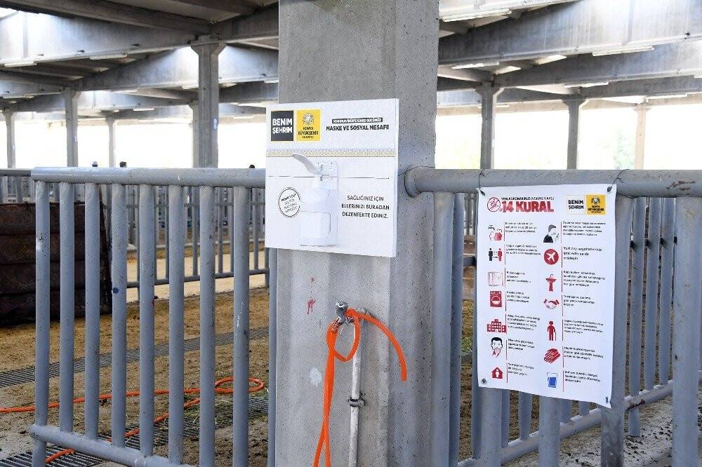 Konya'da Hayvan Pazarında Covide karşı sıkı tedbir