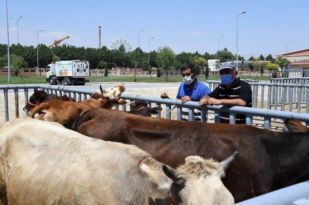 Konya'da Hayvan Pazarında Covide karşı sıkı tedbir
