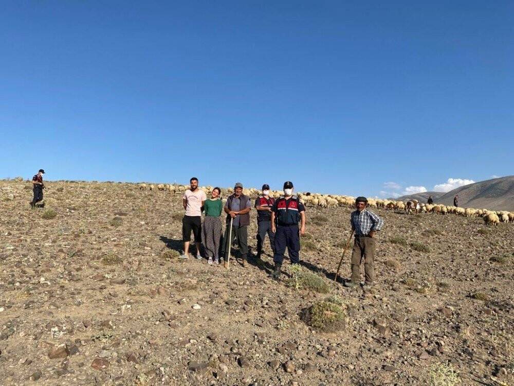 Konya'da kaybolan koyunlar droneyle bulundu