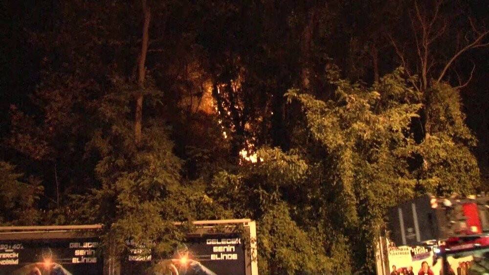 Emirgan Korusu’nda yangın