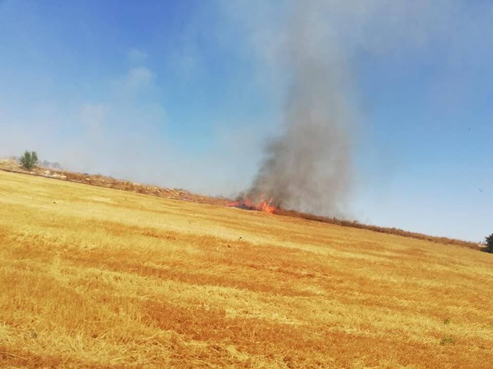 Konya'daki yangında kaplumbağalar telef oldu