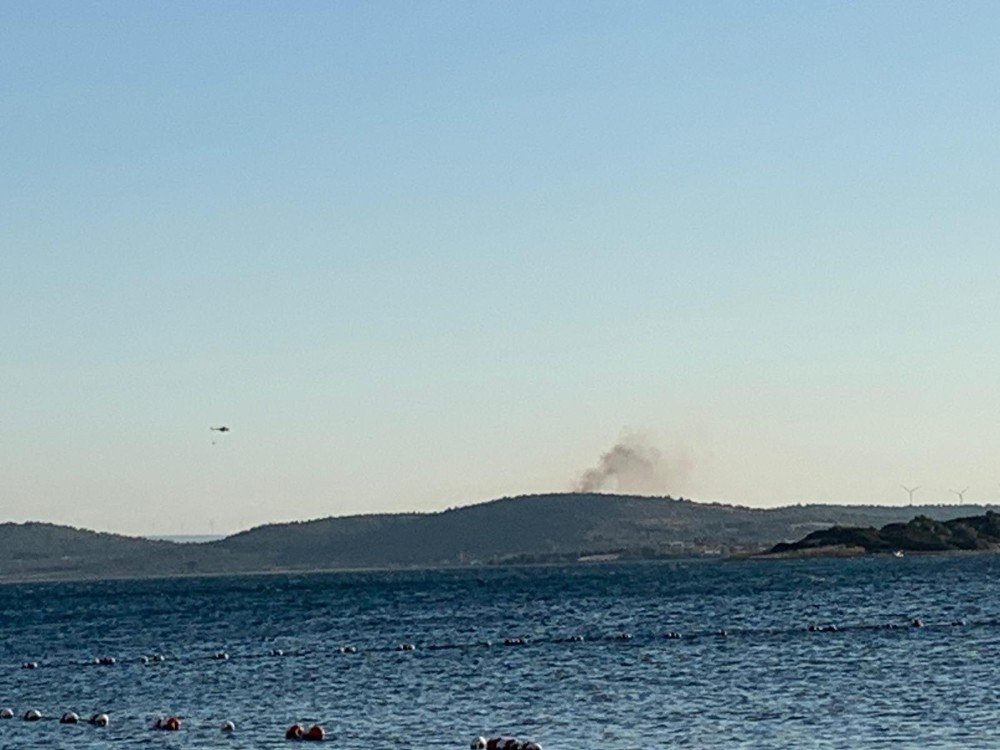 Aliağa’da çıkan orman yangını söndürüldü