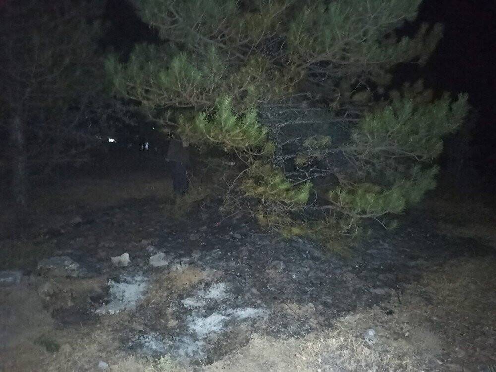 Seydişehir’de Kuğulu Parkta yangın paniği