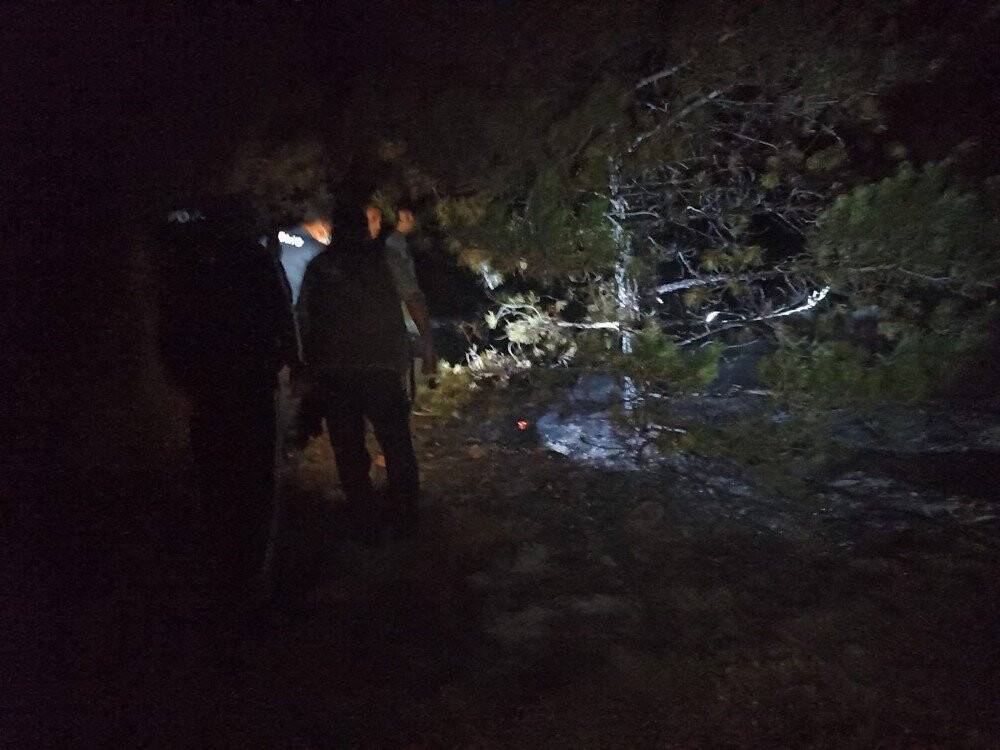 Seydişehir’de Kuğulu Parkta yangın paniği