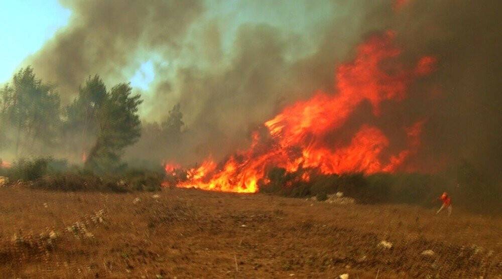 Antalya’daki orman yangınında hortum paniği