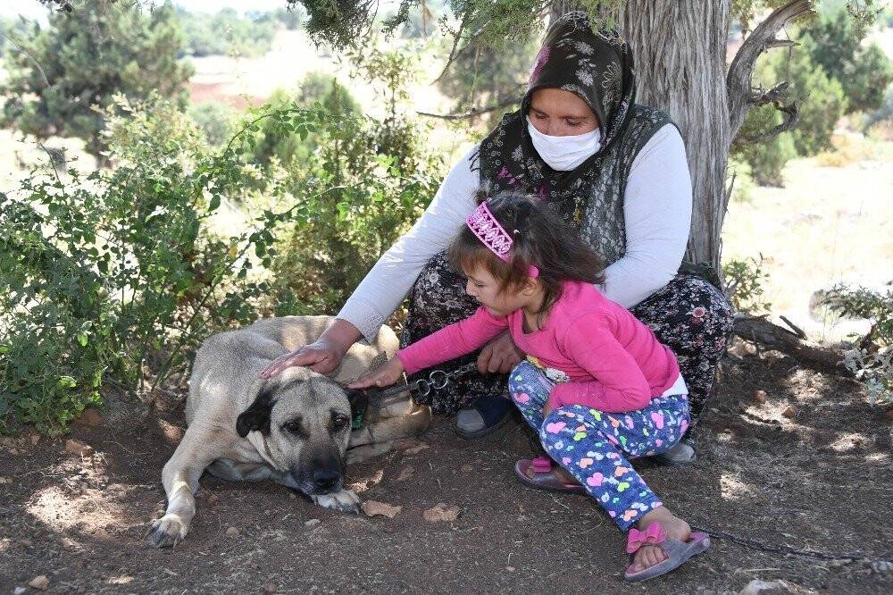 Konya’da köpeklere şefkatli ve huzurlu yuva