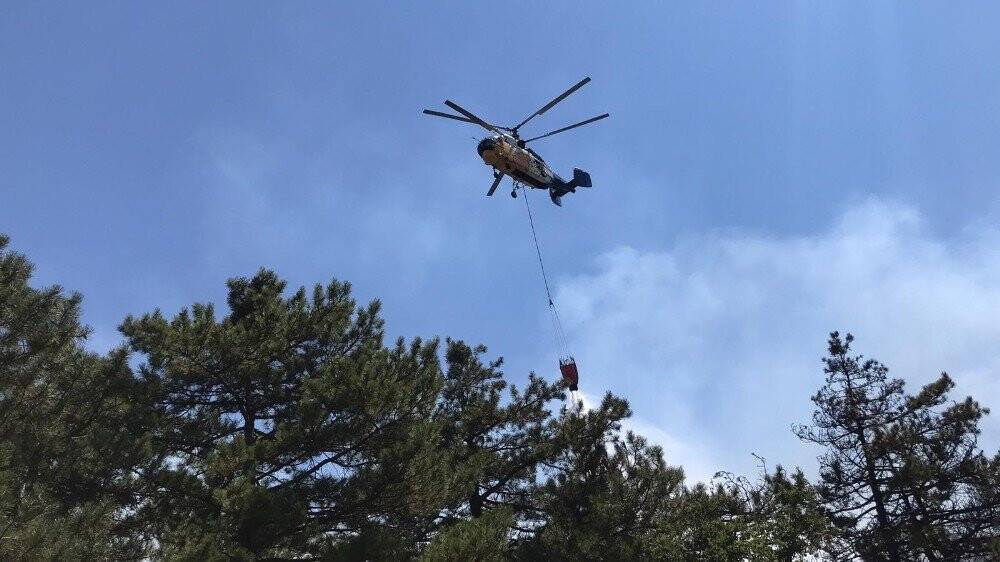 Trafik kazası orman yangınına sebep oldu