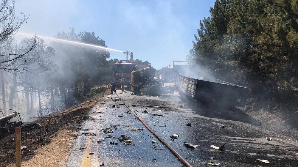 Trafik kazası orman yangınına sebep oldu