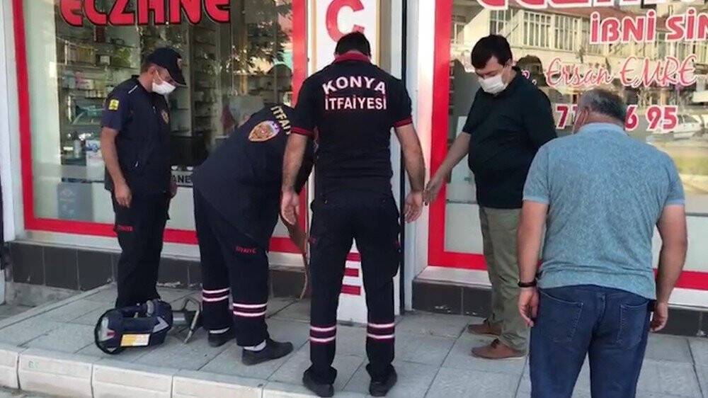 Tabela arkasındaki boşluğa düşen yavru kedi kurtarıldı