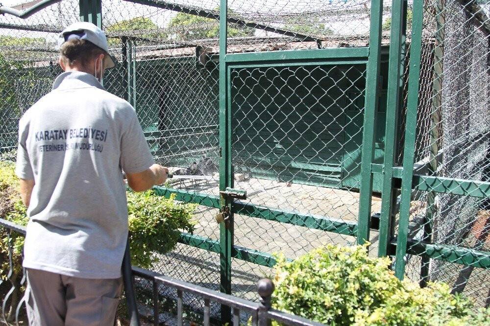 Konya'da Sıcaktan bunalan hayvanlar serinletiliyor