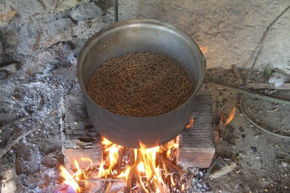Nohudun meşe ateşinde başlayan yolculuğu