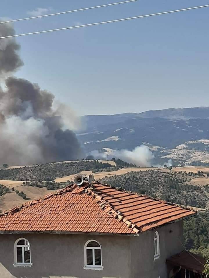 Çorum’da orman yangını