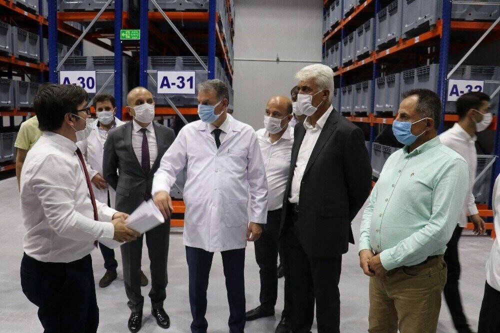 TMO ilk kayısı alımını yaptı