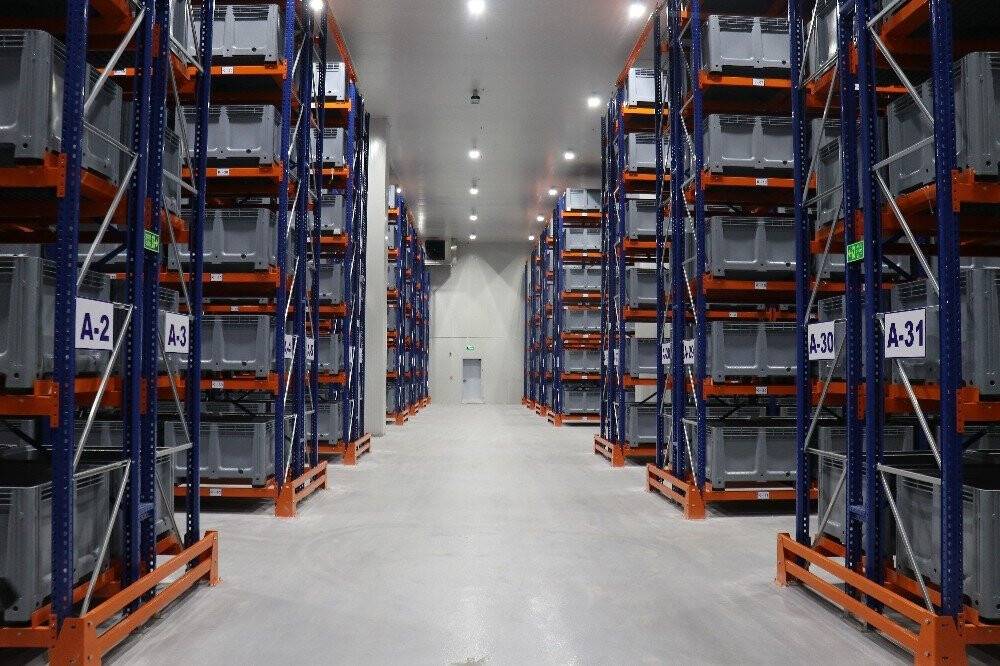 TMO ilk kayısı alımını yaptı