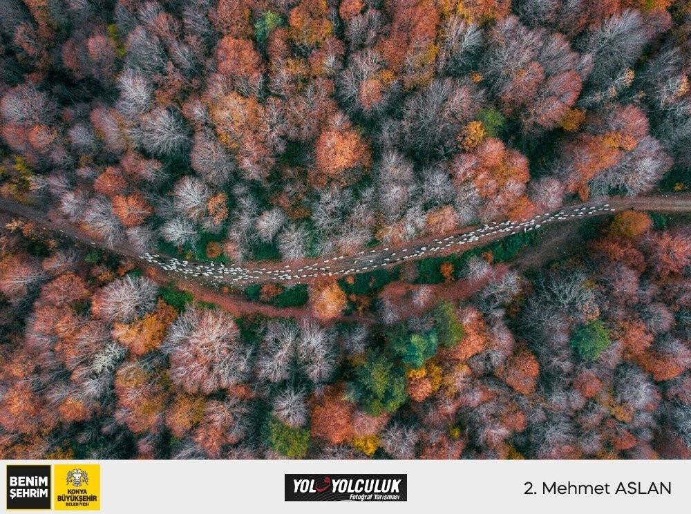 Konya'da ki 'Yol ve Yolculuk' yarışmasının kazananları belli oldu