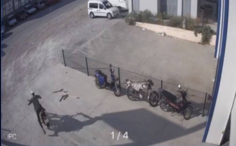 Kafasına karton geçirip motosiklet çaldı