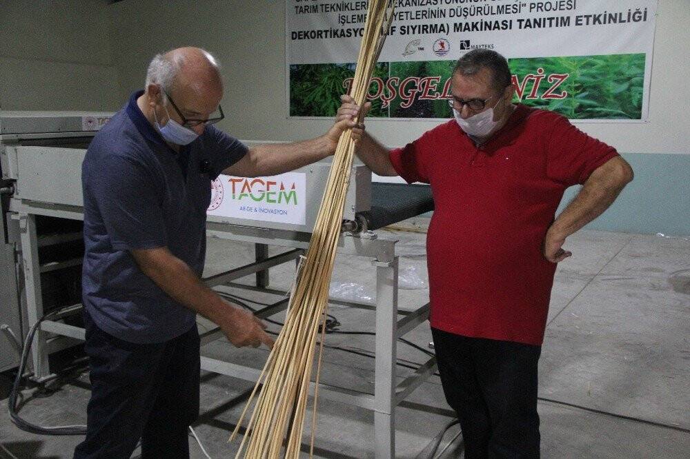 Kenevir, keten ve ısırgan tarımındaki en büyük engel ortadan kalktı