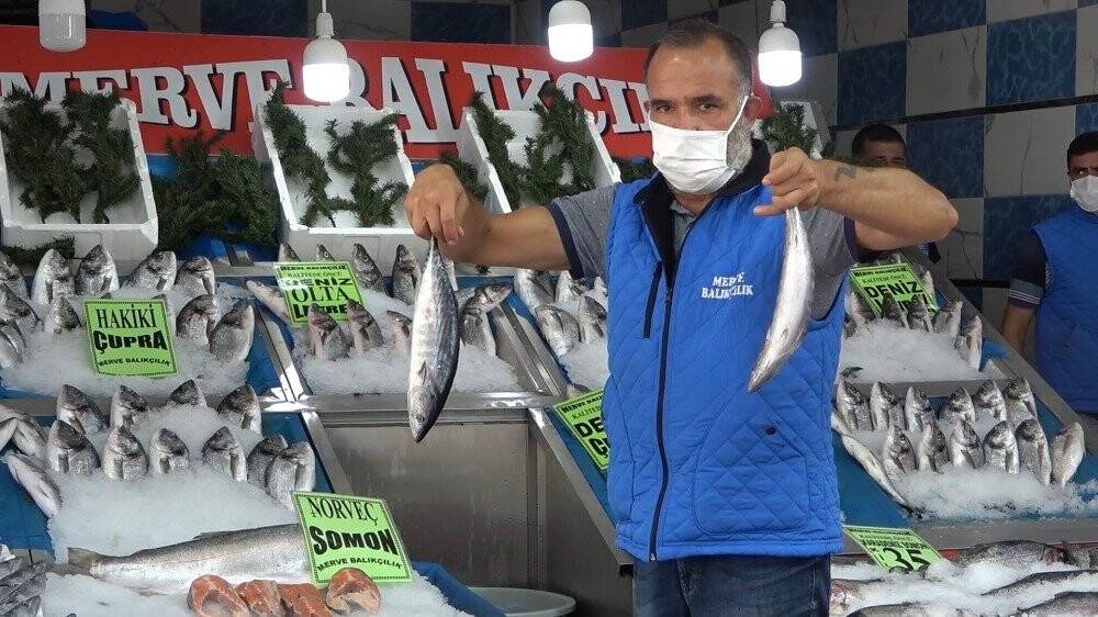 Türkiye’de palamut bereketi