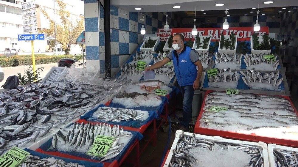 Türkiye’de palamut bereketi