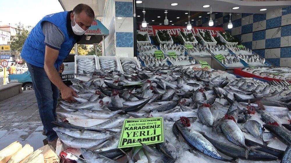 Türkiye’de palamut bereketi