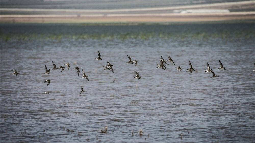 Cumhurbaşkanı Erdoğan'dan Reyhanlı Barajı paylaşımı