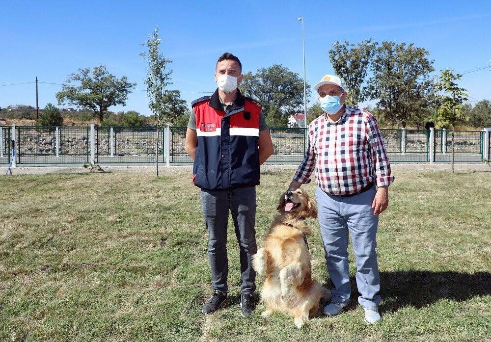Patiköy ve Pati Yolu takdirle karşılanıyor