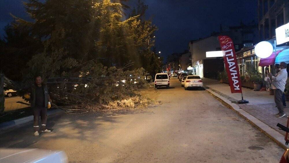 Konya’da fırtına ağaçları devirdi