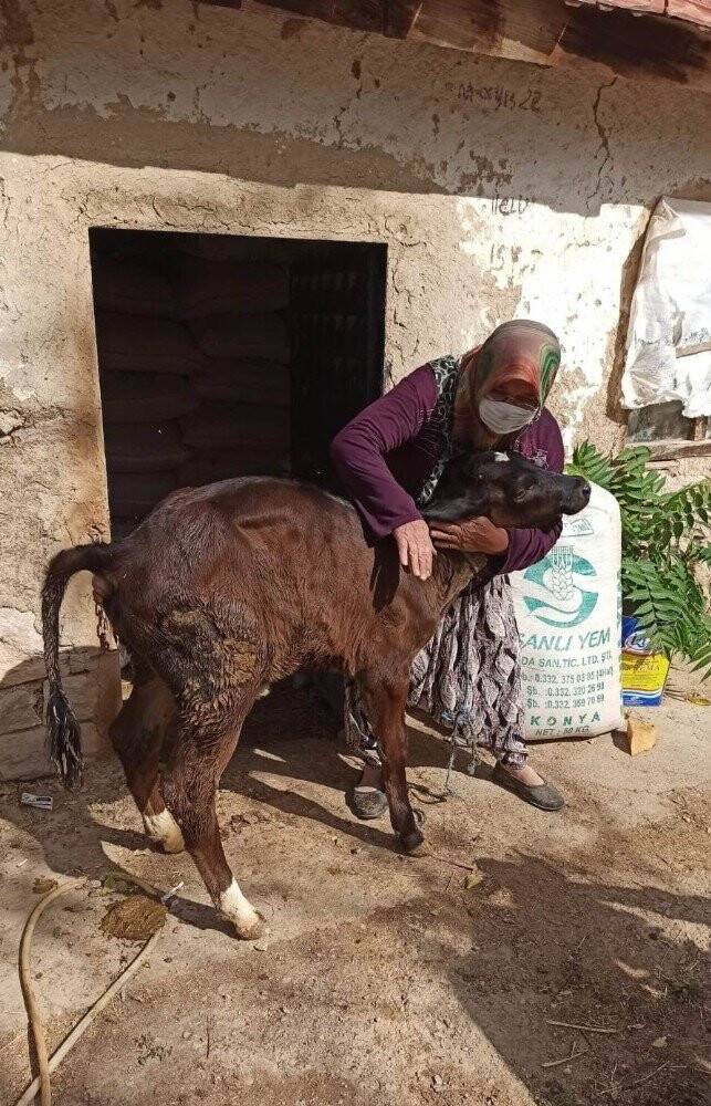 Üç büyükbaş hayvan hırsızlığına dört tutuklama