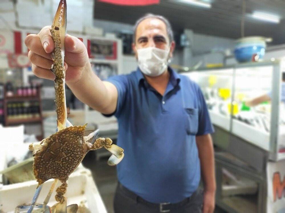 Yengeç, tanesi 10 liraya kapış kapış satılıyor
