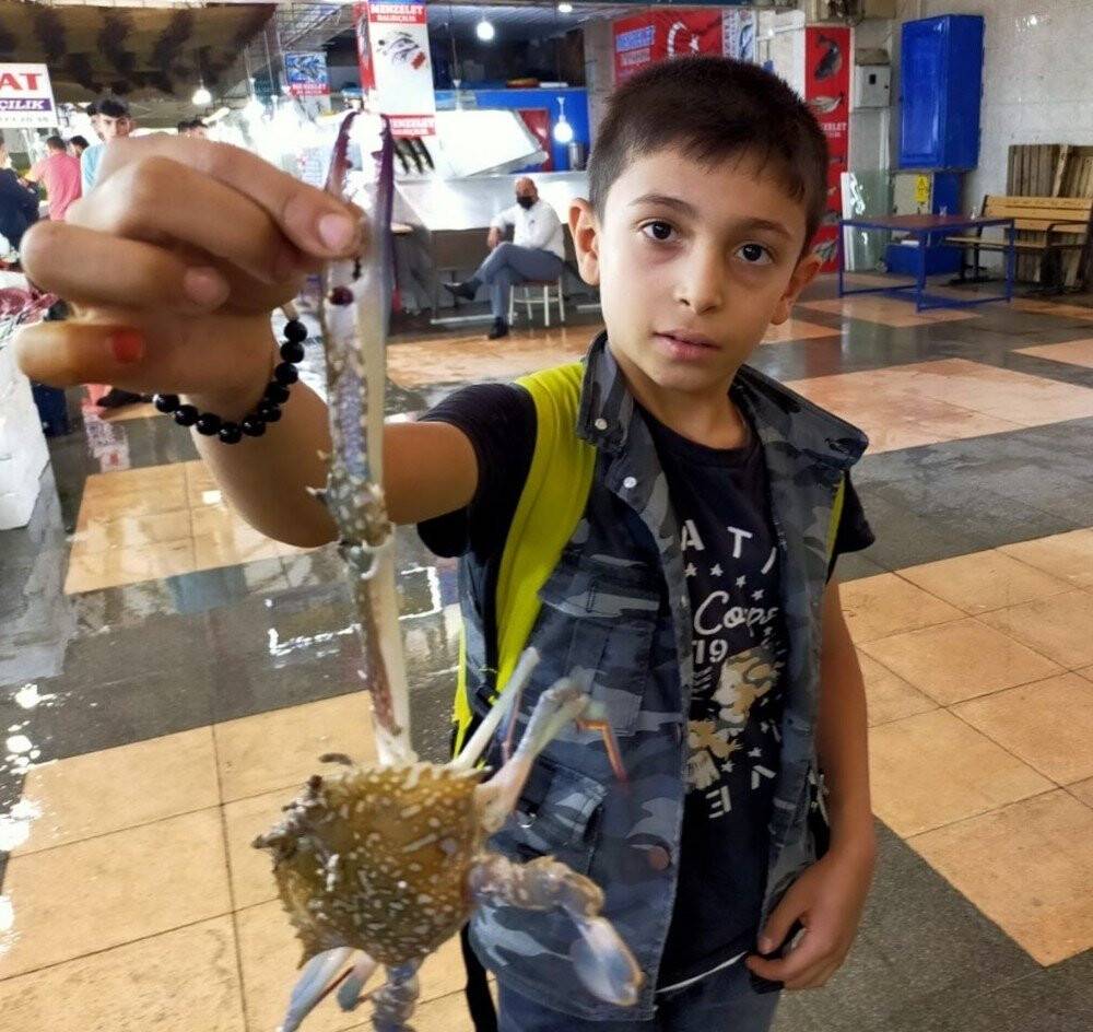 Yengeç, tanesi 10 liraya kapış kapış satılıyor