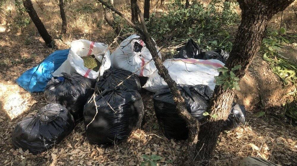 Diyarbakır’da 994 kilo esrar, 247 bin kök kenevir ele geçirildi