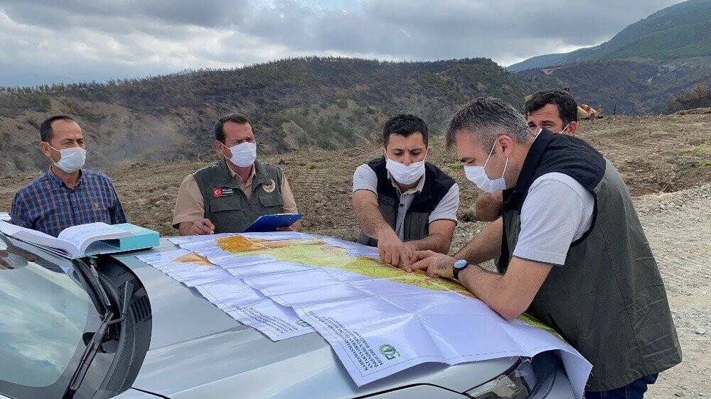 Hatay’da yanan ormanlık alana fidan dikmeyin uyarısı