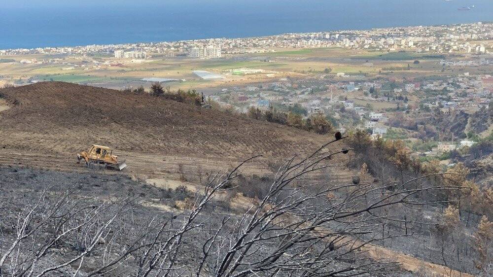 Hatay’da yanan ormanlık alana fidan dikmeyin uyarısı