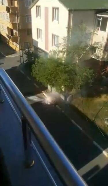 Elektrik kabloları bomba gibi patlayarak alev aldı